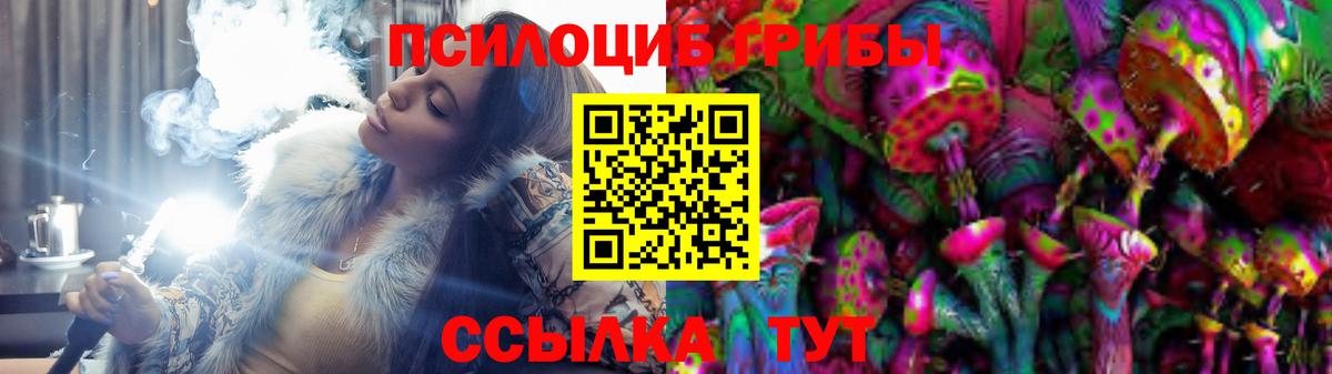 Псилоцибиновые грибы Psilocybe Строитель