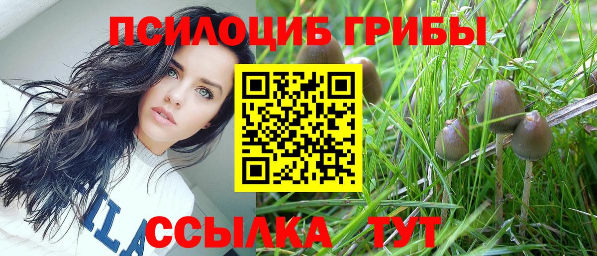 Галлюциногенные грибы MAGIC MUSHROOMS  Вход с VPN  Строитель  Галлюциногенные грибы Cubensis 